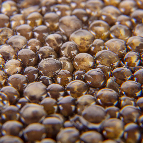 Kaviar opskrifter