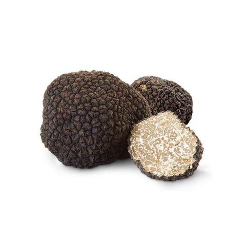 Tuber Uncinatum