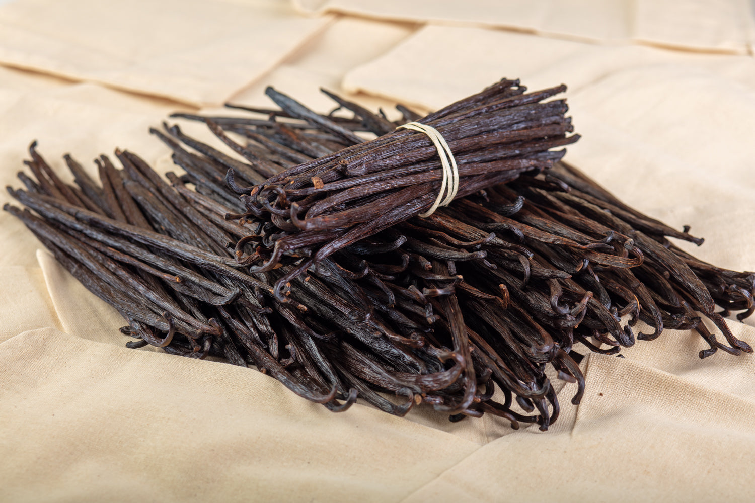 Vaniljestænger (Vanilla planifolia) – Uganda