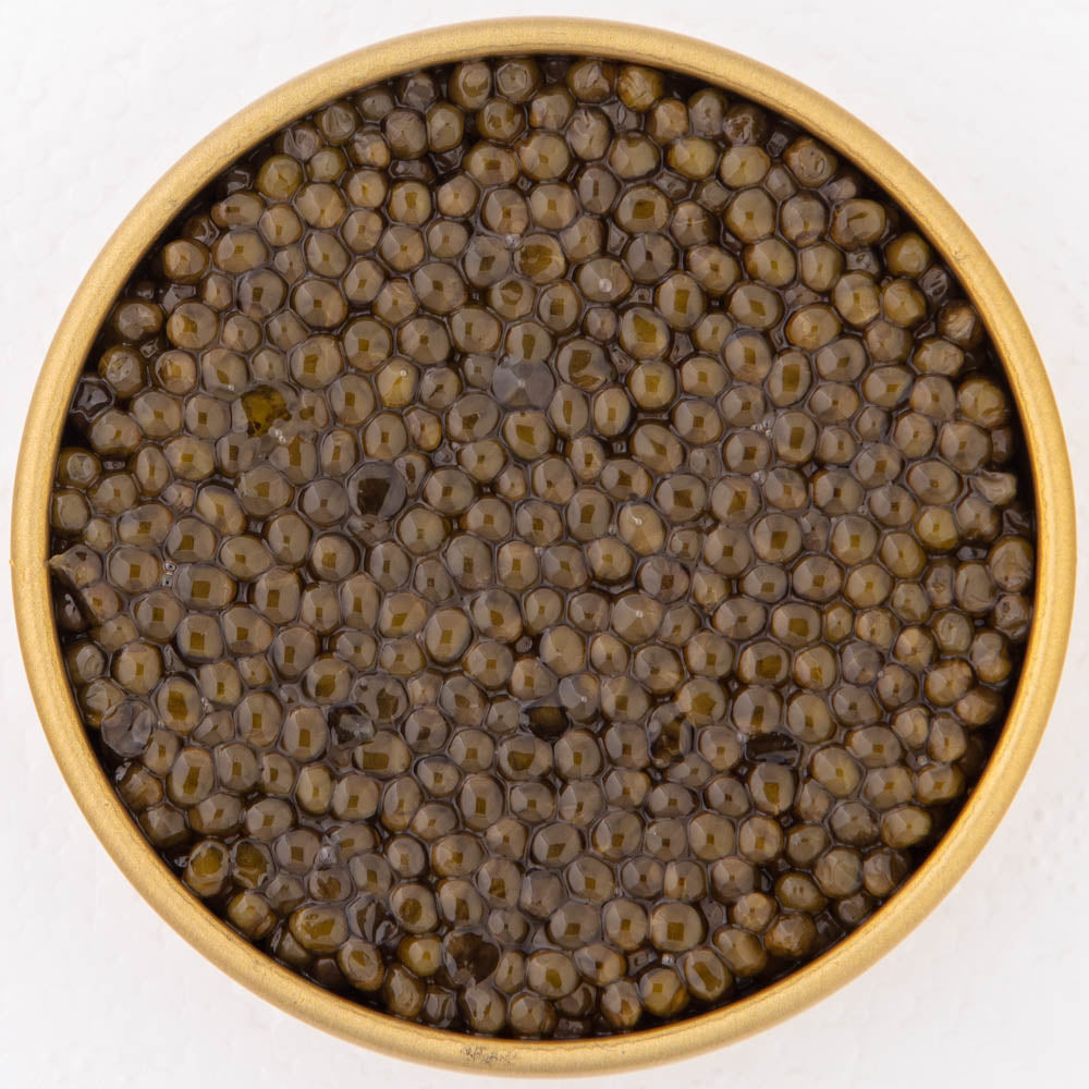 Beluga caviar