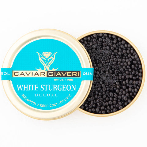 White sturgeon - Giaveri
