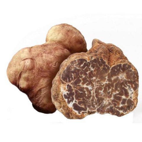 Forårshvide trøfler - Tuber Borchii/Bianchetto