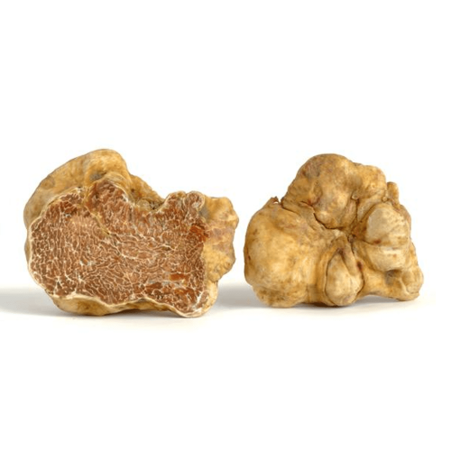 Tuber Magnatum Pico - Alba - Magnatum